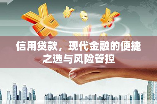 槐荫信用贷款，现代金融的便捷之选与风险管控