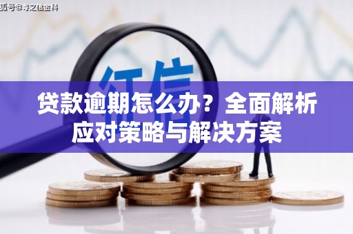 槐荫贷款逾期怎么办？全面解析应对策略与解决方案