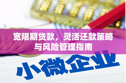 槐荫宽限期贷款，灵活还款策略与风险管理指南