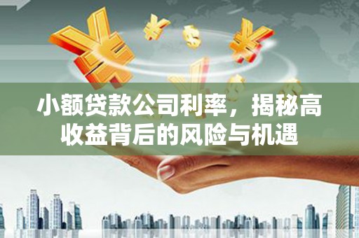 槐荫小额贷款公司利率，揭秘高收益背后的风险与机遇