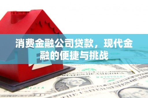 槐荫消费金融公司贷款，现代金融的便捷与挑战
