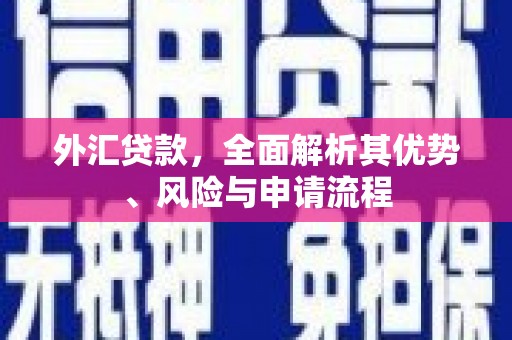 槐荫外汇贷款，全面解析其优势、风险与申请流程