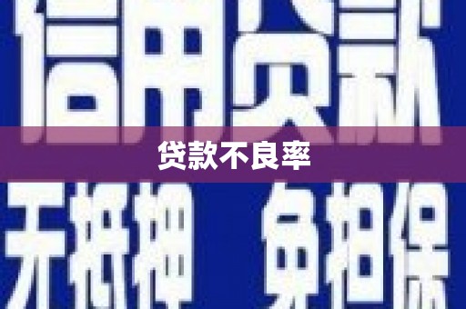 槐荫贷款不良率