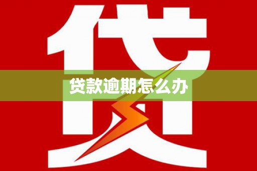 槐荫贷款逾期怎么办