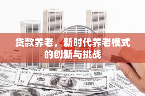 槐荫贷款养老，新时代养老模式的创新与挑战
