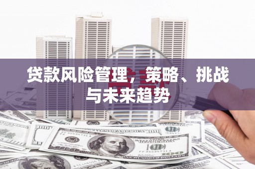 槐荫贷款风险管理，策略、挑战与未来趋势