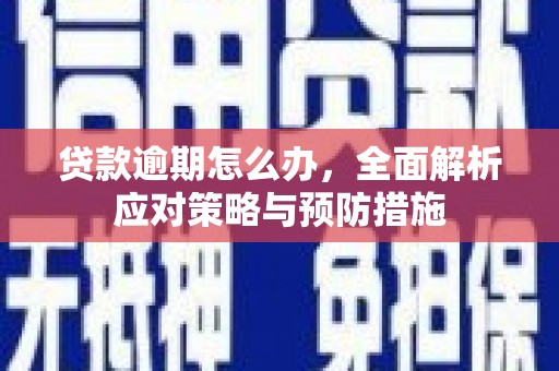 槐荫贷款逾期怎么办，全面解析应对策略与预防措施