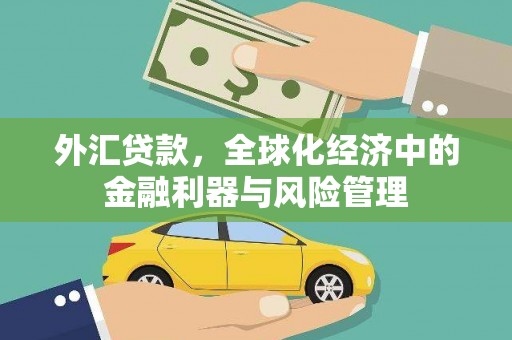槐荫外汇贷款，全球化经济中的金融利器与风险管理