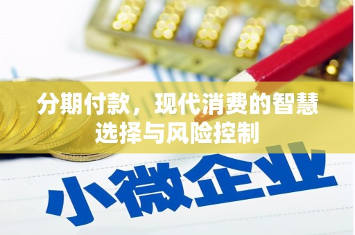 槐荫分期付款，现代消费的智慧选择与风险控制