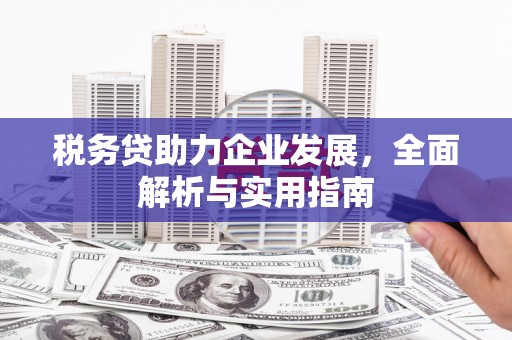 槐荫税务贷助力企业发展，全面解析与实用指南