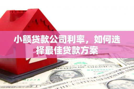 槐荫小额贷款公司利率，如何选择最佳贷款方案