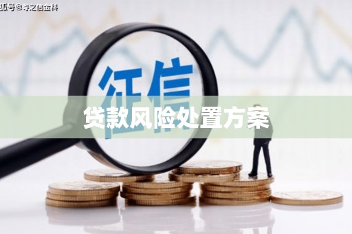 槐荫贷款风险处置方案