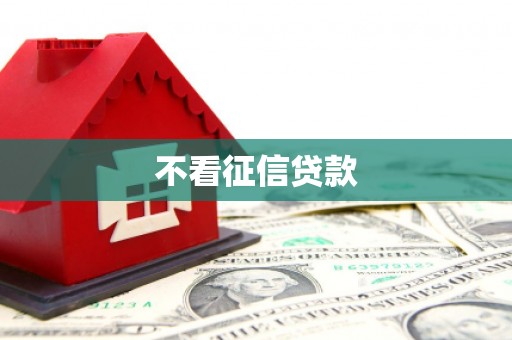 槐荫不看征信贷款