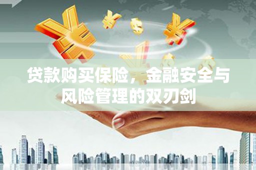 槐荫贷款购买保险，金融安全与风险管理的双刃剑