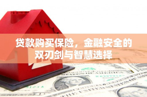 槐荫贷款购买保险，金融安全的双刃剑与智慧选择