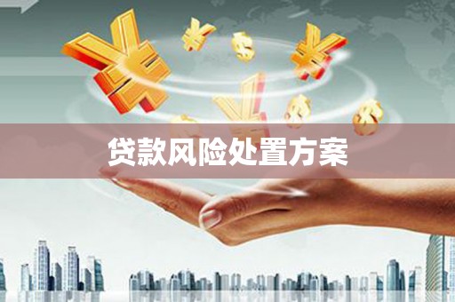 槐荫贷款风险处置方案