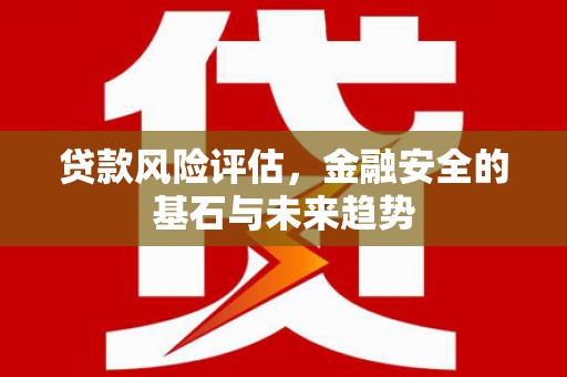 槐荫贷款风险评估，金融安全的基石与未来趋势
