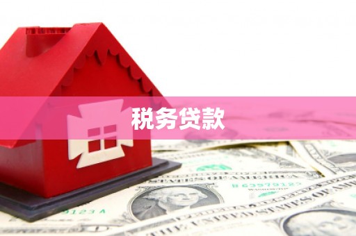槐荫税务贷款