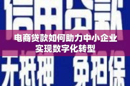 槐荫电商贷款如何助力中小企业实现数字化转型