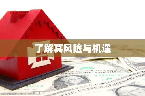 槐荫了解其风险与机遇