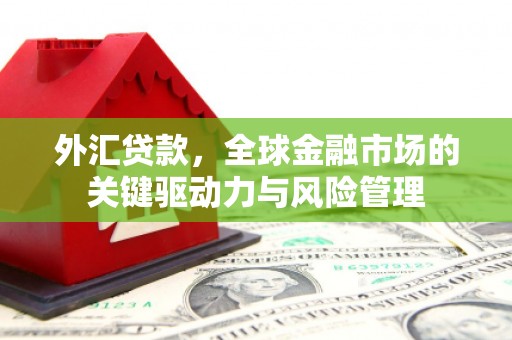 槐荫外汇贷款，全球金融市场的关键驱动力与风险管理