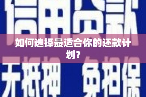 槐荫如何选择最适合你的还款计划？