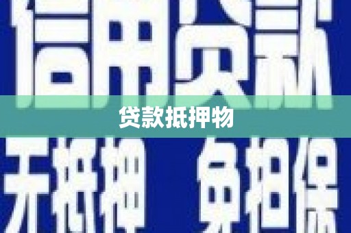 槐荫贷款抵押物