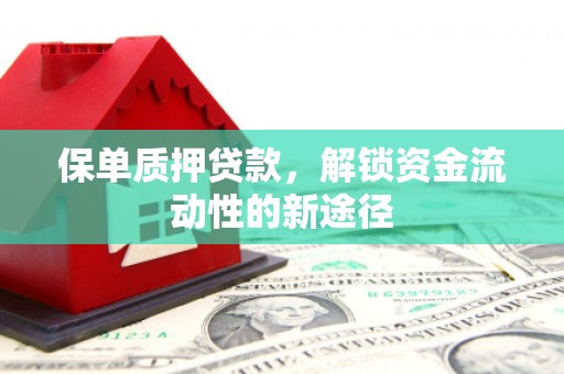 槐荫保单质押贷款，解锁资金流动性的新途径