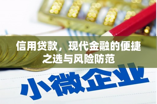 槐荫信用贷款，现代金融的便捷之选与风险防范