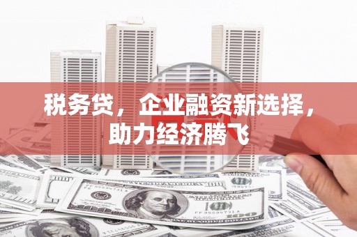 槐荫税务贷，企业融资新选择，助力经济腾飞