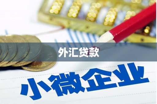 槐荫外汇贷款