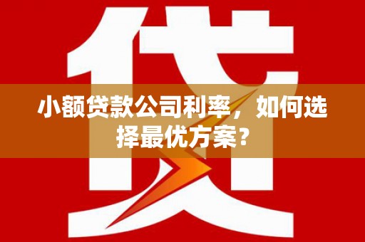 槐荫小额贷款公司利率，如何选择最优方案？