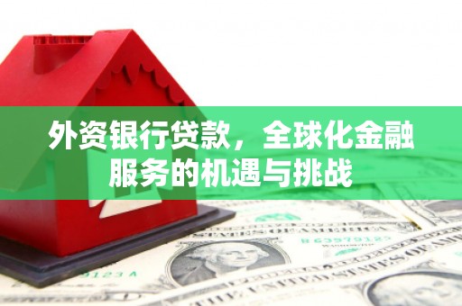 槐荫外资银行贷款，全球化金融服务的机遇与挑战