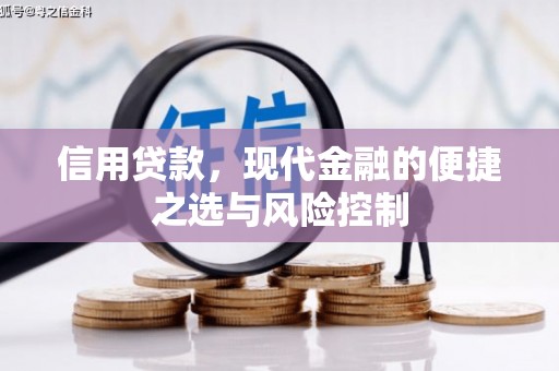 槐荫信用贷款，现代金融的便捷之选与风险控制