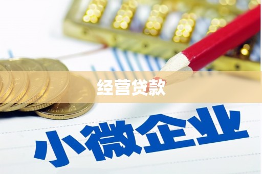 槐荫经营贷款