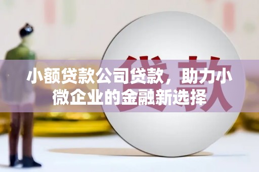 槐荫小额贷款公司贷款，助力小微企业的金融新选择
