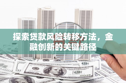 槐荫探索贷款风险转移方法，金融创新的关键路径