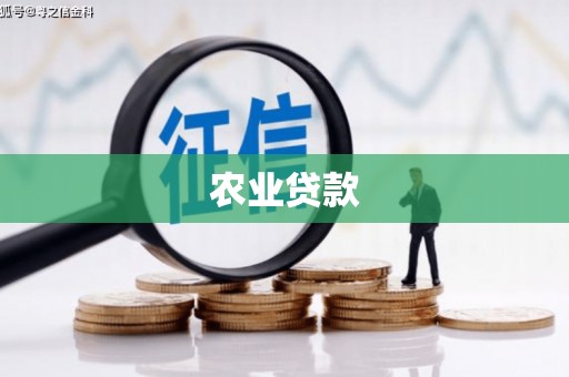 槐荫农业贷款