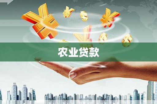 槐荫农业贷款