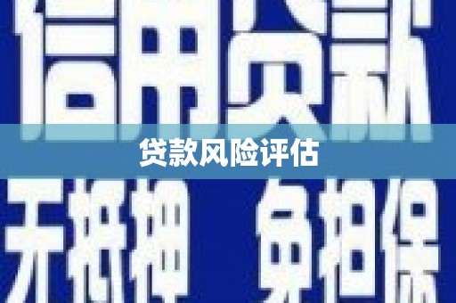 槐荫贷款风险评估