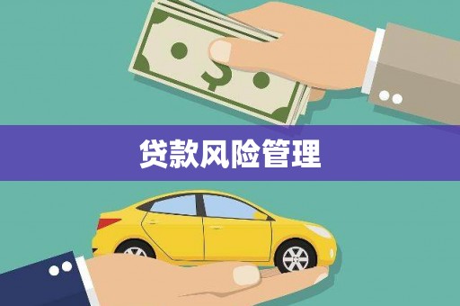 槐荫贷款风险管理