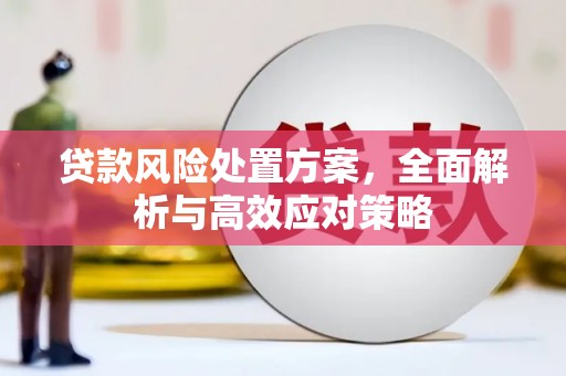 槐荫贷款风险处置方案，全面解析与高效应对策略