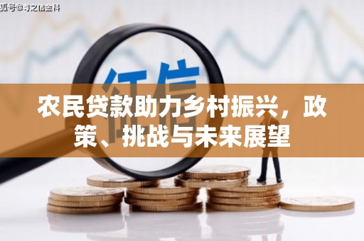 槐荫农民贷款助力乡村振兴，政策、挑战与未来展望
