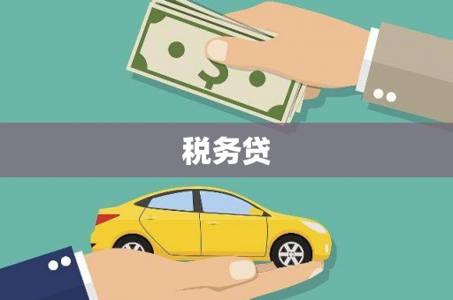 槐荫税务贷