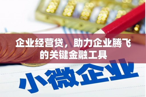 槐荫企业经营贷，助力企业腾飞的关键金融工具