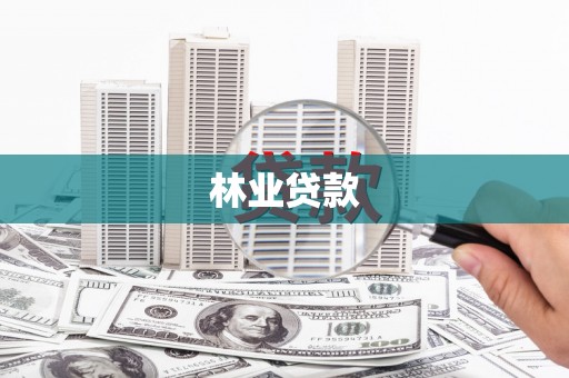 槐荫林业贷款