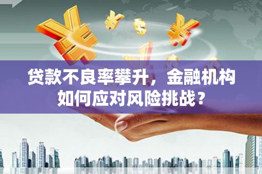 槐荫贷款不良率攀升，金融机构如何应对风险挑战？