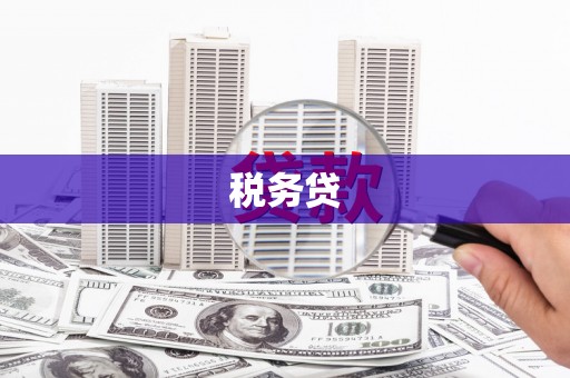 槐荫税务贷
