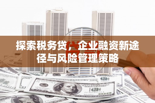 槐荫探索税务贷，企业融资新途径与风险管理策略