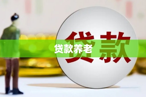 槐荫贷款养老